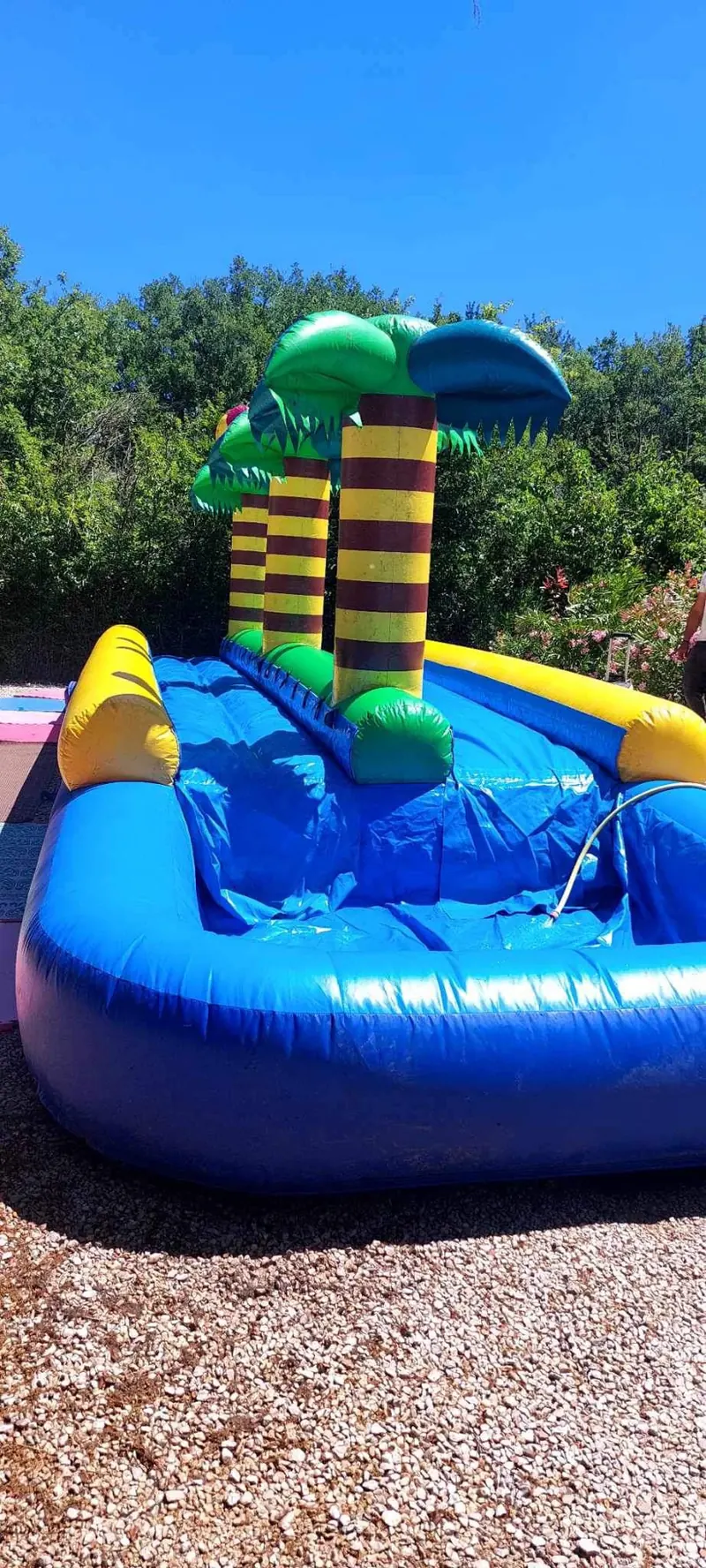 Ventriglisse Palmier installé sur une pelouse