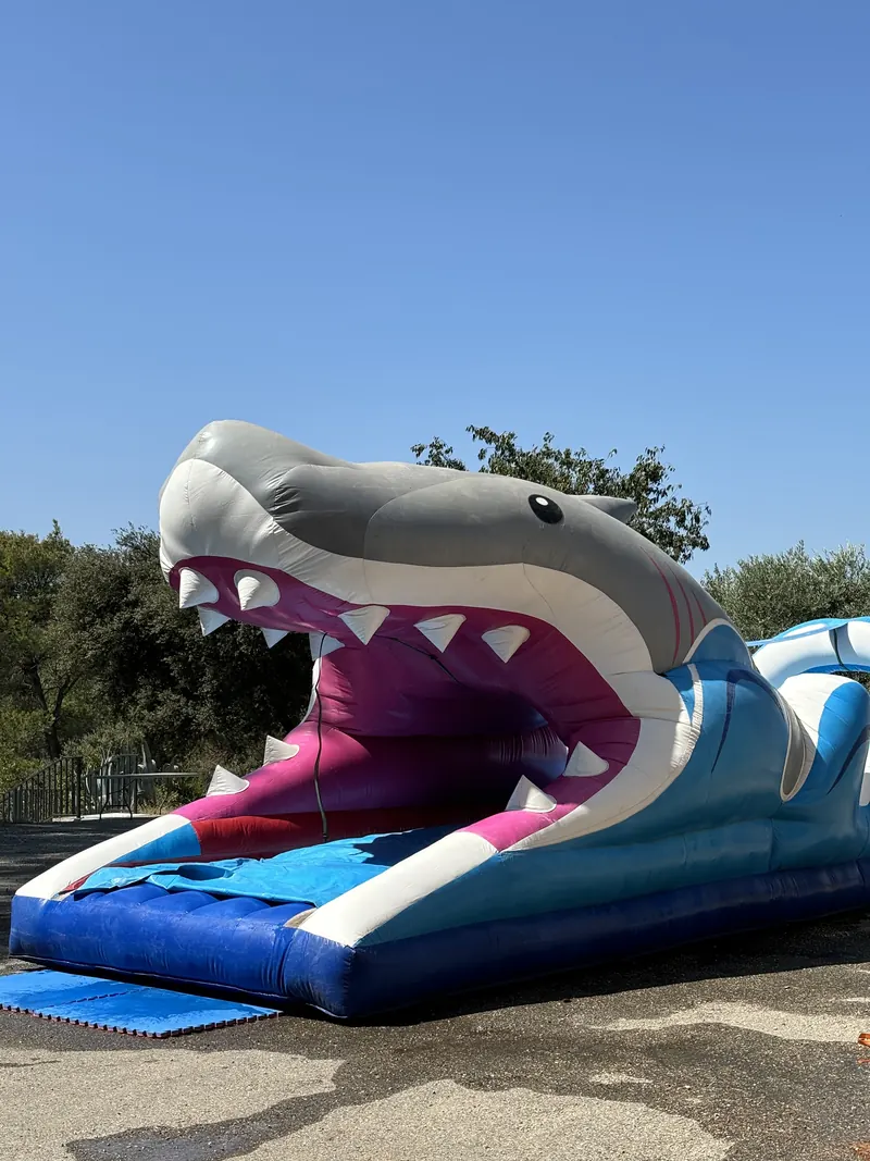 Ventriglisse Requin XXL installé sur une pelouse